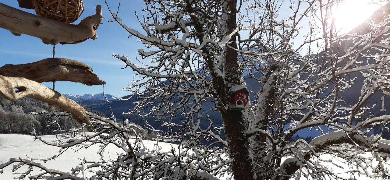 Vorderponholz Ferienwohnungen Ramsau bei Berchtesgaden Extérieur photo